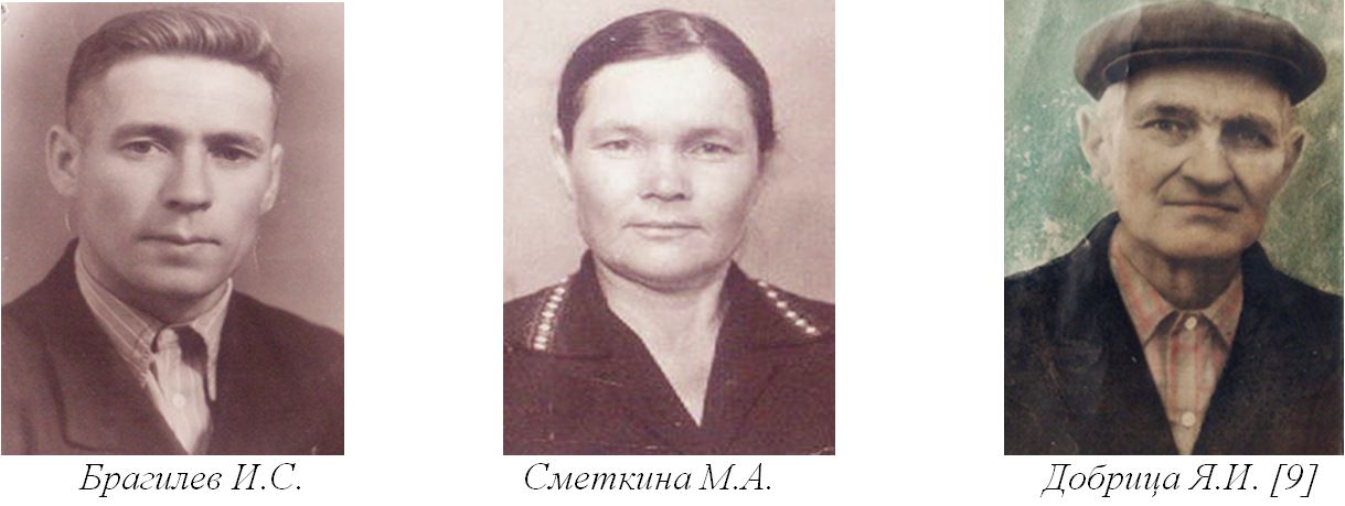 Брагилев И.С., Сметкина М.А.,  Добрица Я.И.